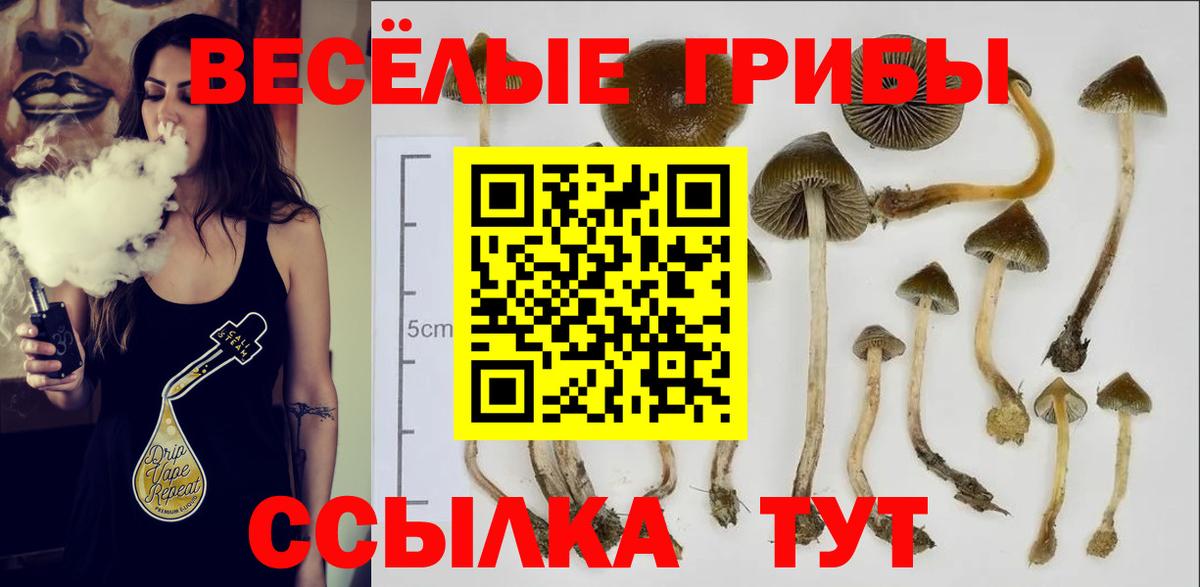 Псилоцибиновые грибы мухоморы  Галлюциногенные грибы прущие грибы  Белогорск  Вход с VPN 