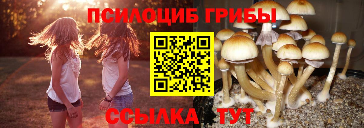 Галлюциногенные грибы ЛСД Белогорск